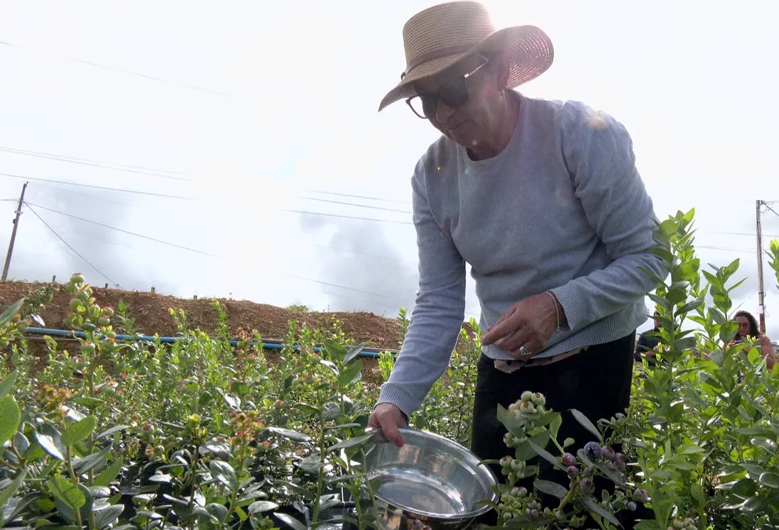 Rota da Fruticultura RIDE–DF reúne DF e 33 municípios de Goiás e Minas Gerais. Foto: Victor Gomes